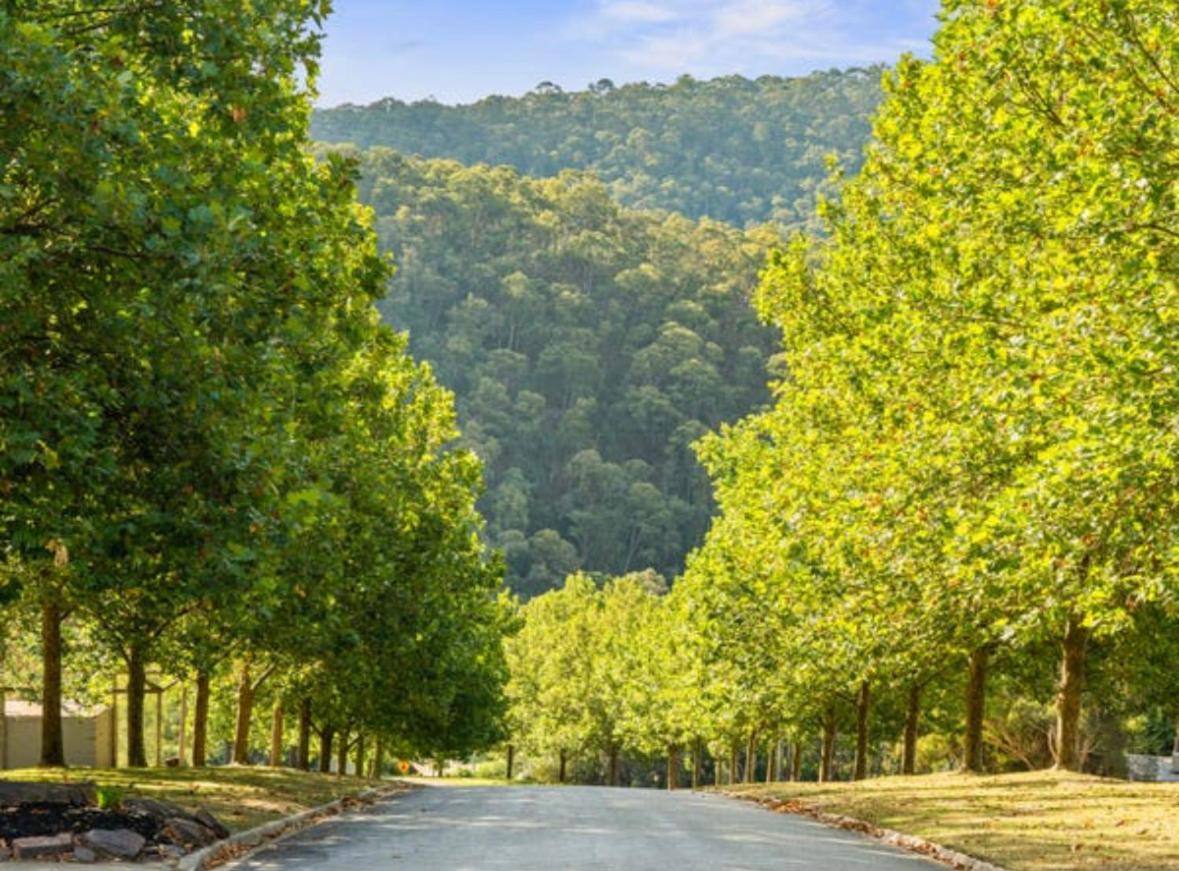 Mt Buller Stayz Merrijig Ngoại thất bức ảnh